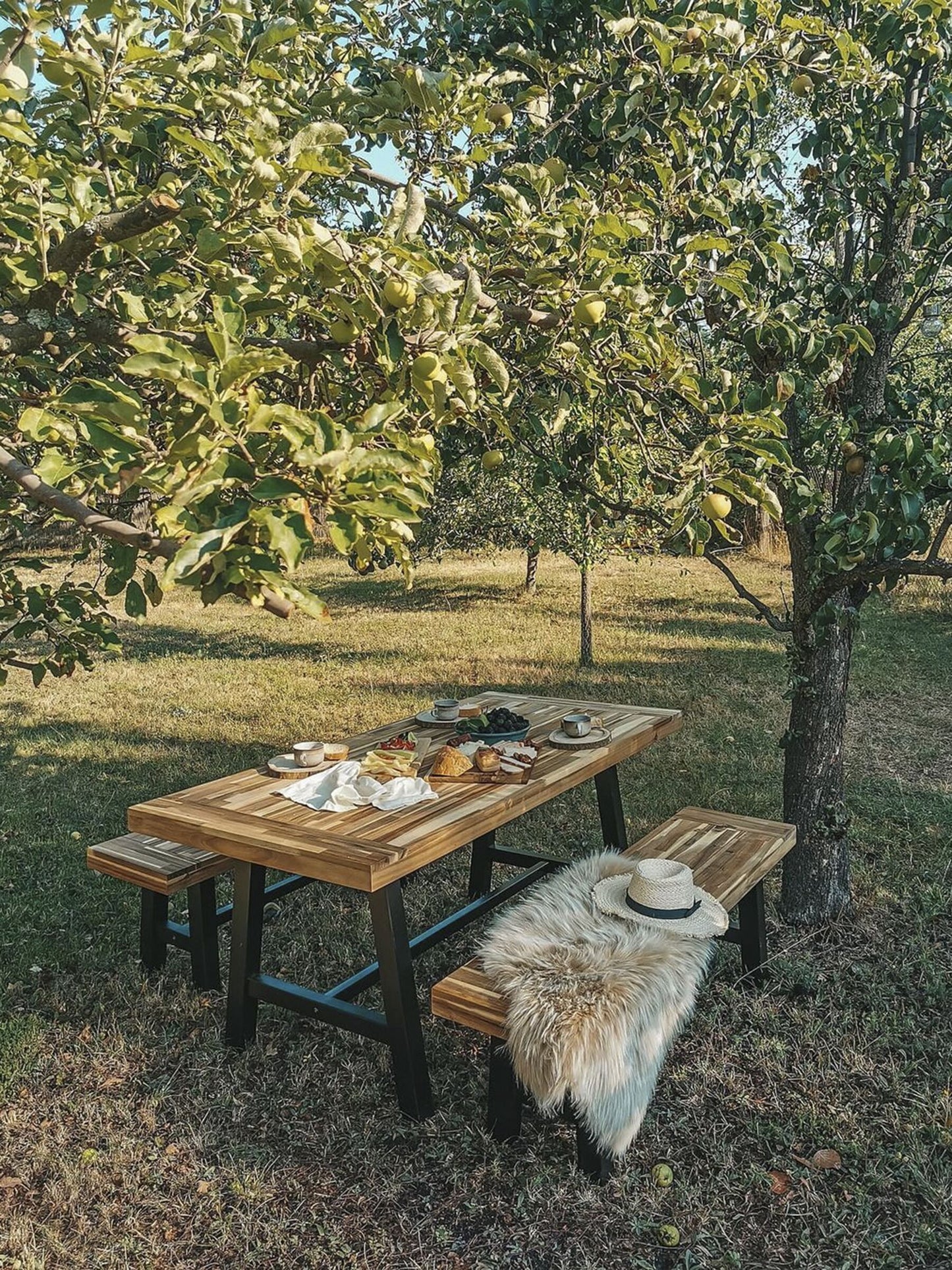 Garden Dining Set 6 Seater SCANIA Acacia Wood Black