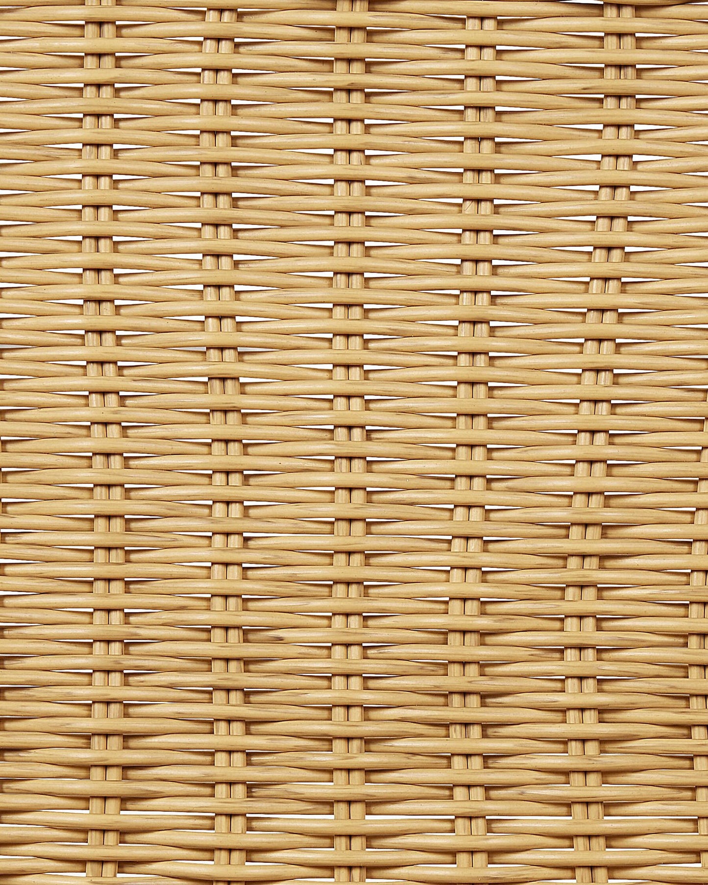 Set of 2 Garden Chairs PRASIMO PE Rattan Natural