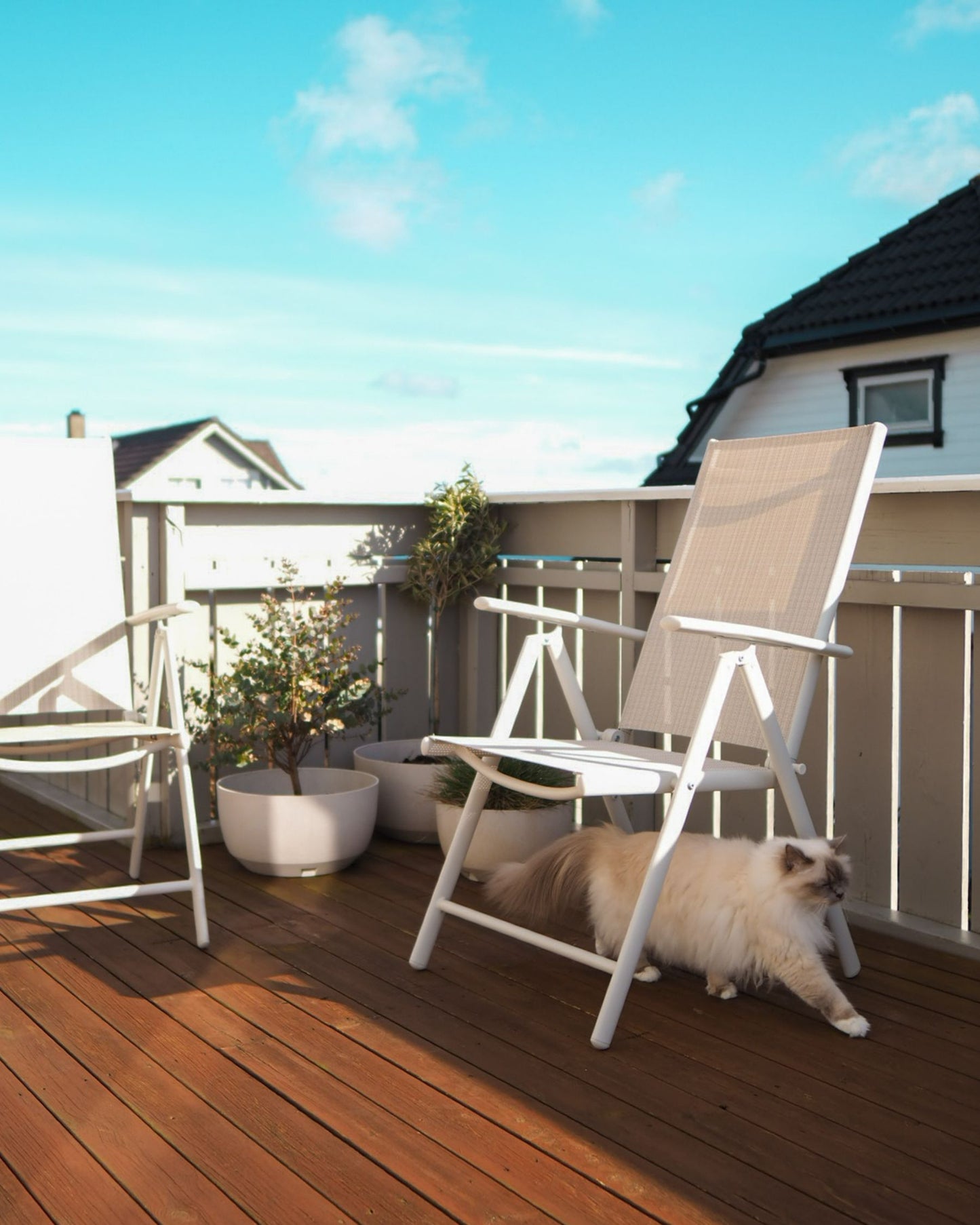 Set of 6 Garden Chairs CATANIA Metal Beige