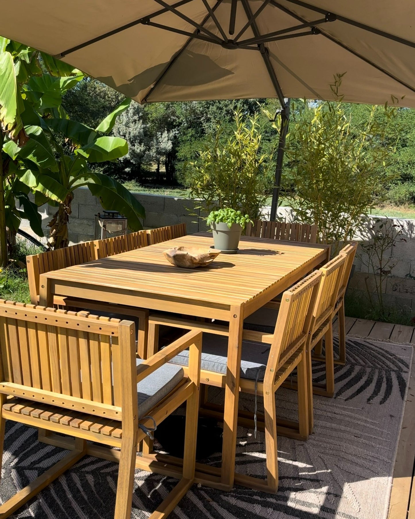 Set of 8 Garden Chairs with Cushions SASSARI Acacia Wood Grey