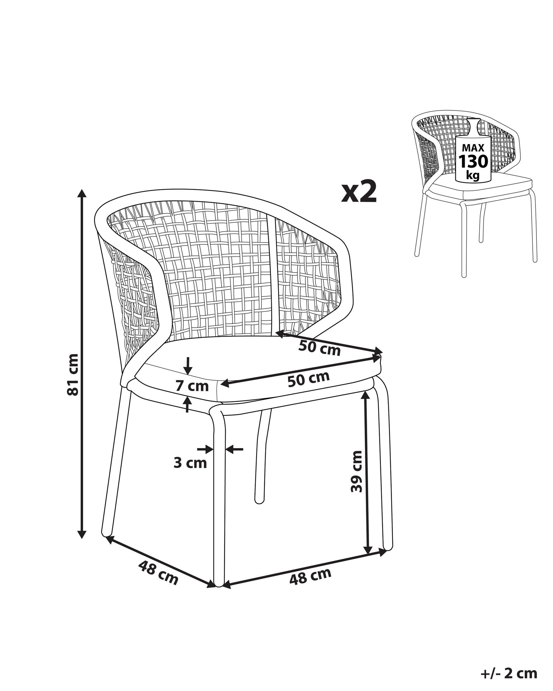 Set of 2 Garden Chairs with Cushions PALMI Metal Grey