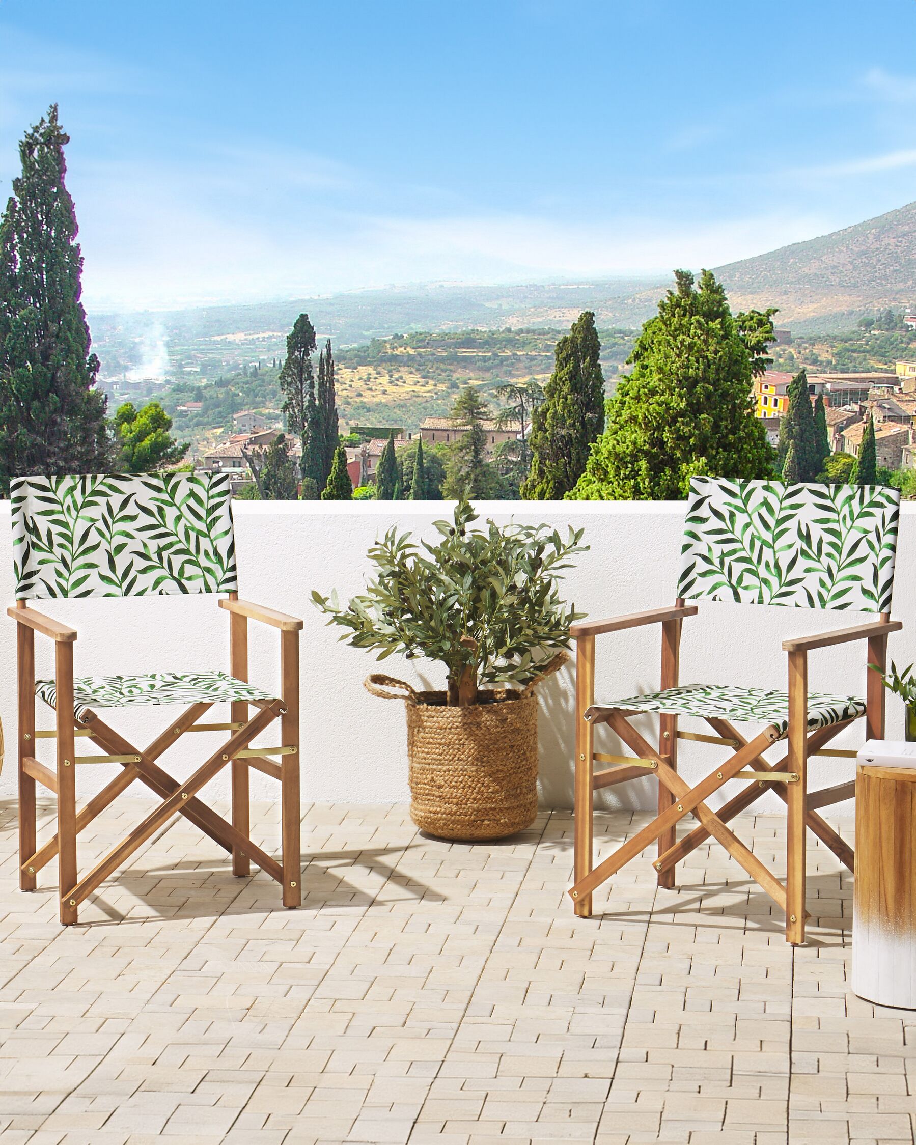 Set of 2 Garden Chairs CINE Acacia Wood White