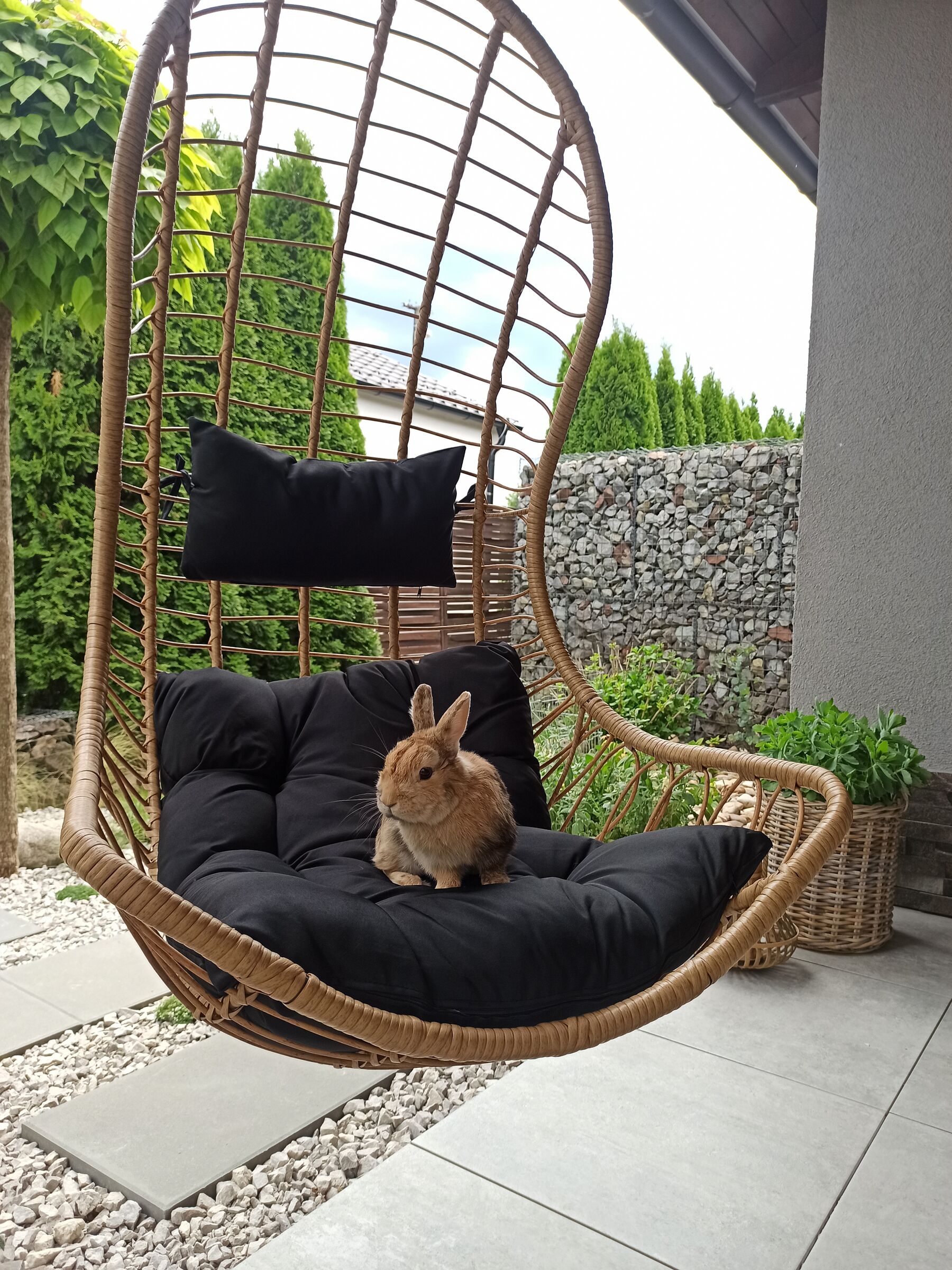 Hanging Chair with Stand PINETO PE Rattan Natural