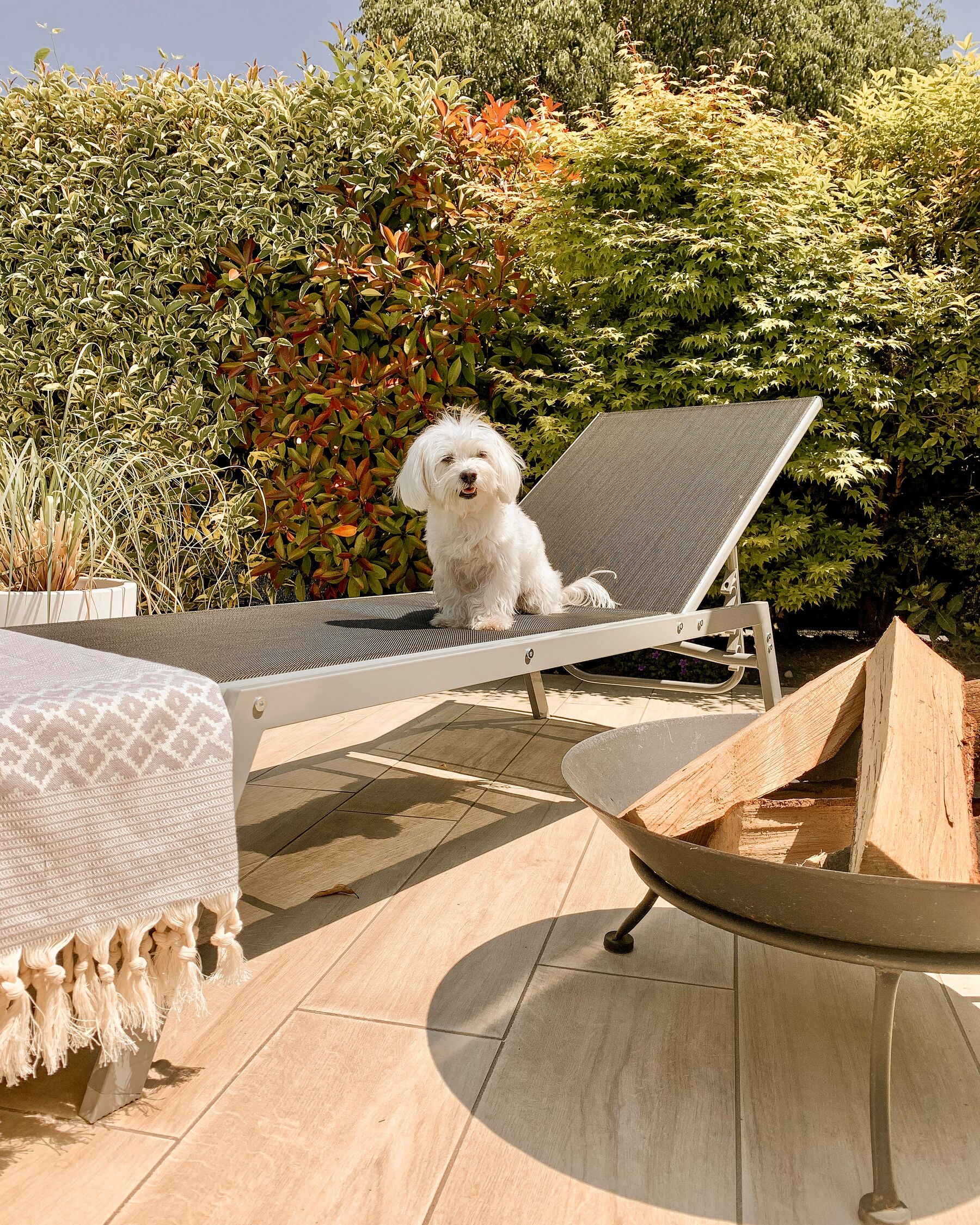 Steel Reclining Sun Lounger Grey NOLI