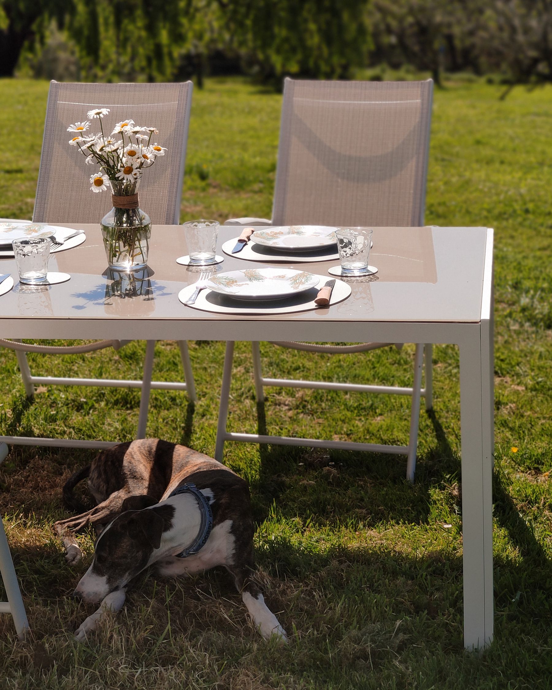 Garden Dining Set 6 Seater CATANIA Metal Beige