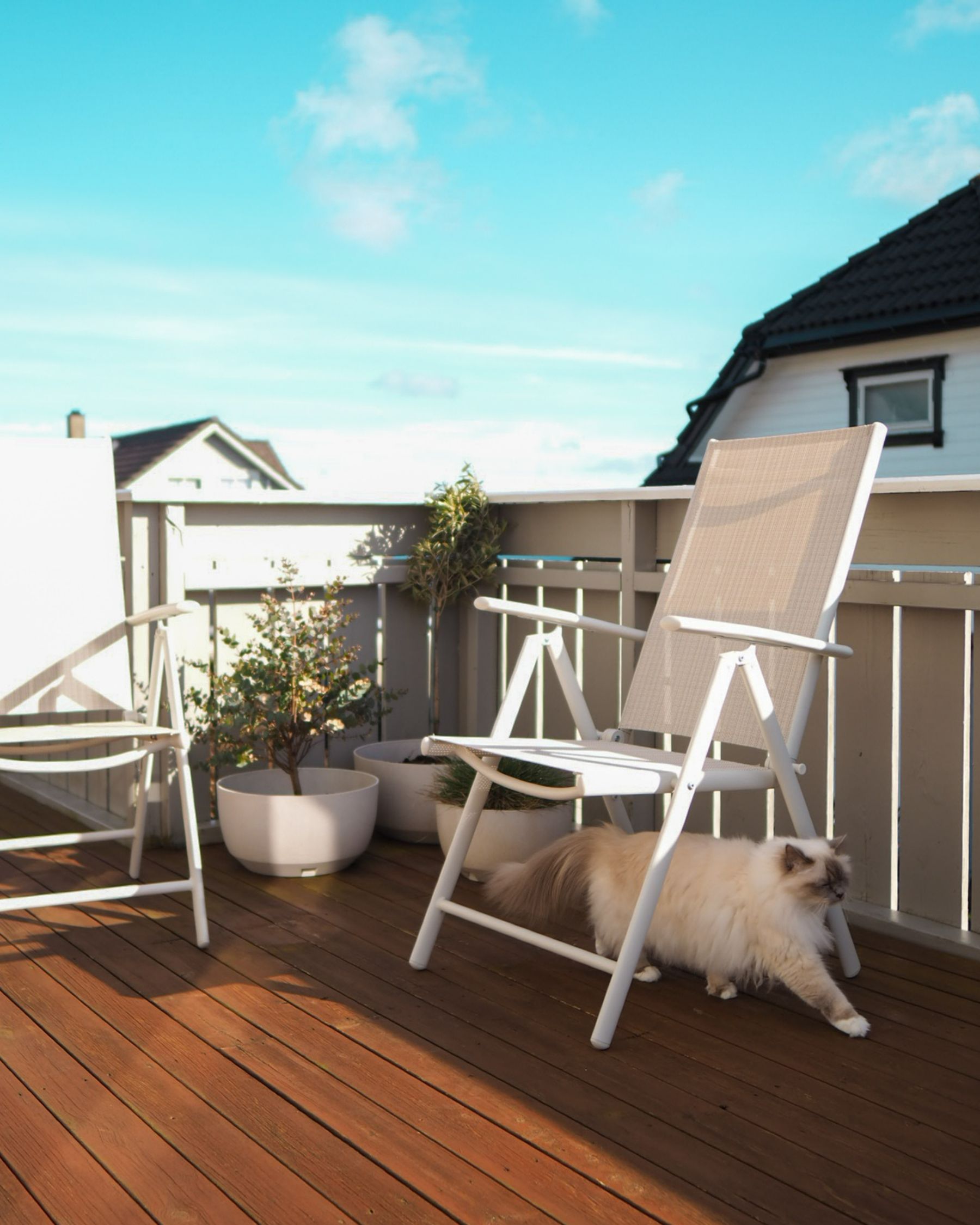 Set of 6 Garden Chairs CATANIA Metal Beige